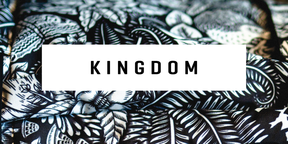 Sarah King Kingdom Collection
